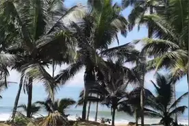 中国商人非洲被困：为避疫情躲进雨林地区等待返华航班图片