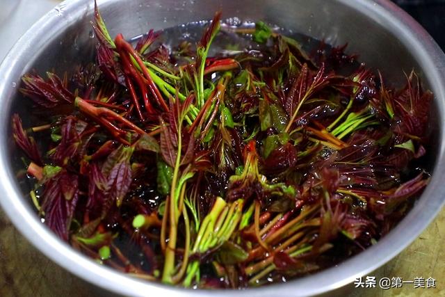 香椿这样保存，一年四季都是绿油油的样子，鲜香脆嫩不变味