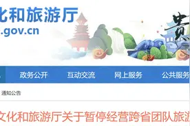 紧急通知！贵州：暂停经营跨省团队旅游业务图片