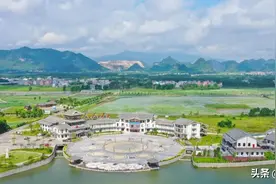 走，赏花去！贵港千亩荷塘进入盛花期，美翻了图片