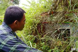 广西百色籍赴台老兵罗祖威在台湾孤独离世，头条寻人盼为他找到亲人图片