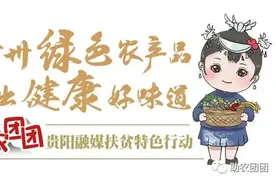「贵州绿色农产品，吃出健康好味道」生态珍果，果中黄金图片