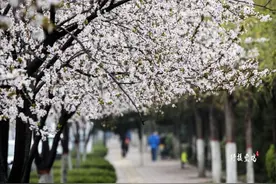 不负春光不负花 宝鸡今年最全赏花攻略出炉图片