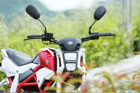 9980元的国产迷你车——黄河小飞象，8升油箱，极速110图片