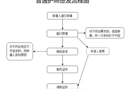 上半年全国签发护照量仅为2019年同期2%，护照办理详细流程get图片
