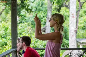 马来西亚国宝“长鼻猴”，被称为最帅的猴子，女游客看了都脸红图片