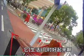 2021最暖心的10个瞬间：生活很难，总有人在偷偷爱你图片