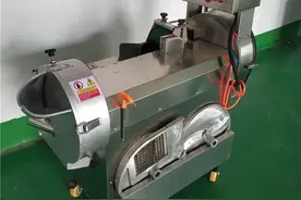 切菜机切菜视频，切片切丁切丝，效果好产量大图片