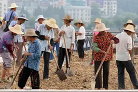 农民交了新农保，不到60岁就去世了，交的钱怎么办？浪费不了图片