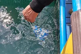 海南“禁塑”背后！“区别对待”有科学依据图片