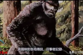 喜馬拉雅山驚現千年野人渾身長滿毛發图片