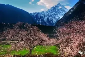 【走西藏】波密的巴热山，是世界十三大圣地之一，当地人叫它神山图片
