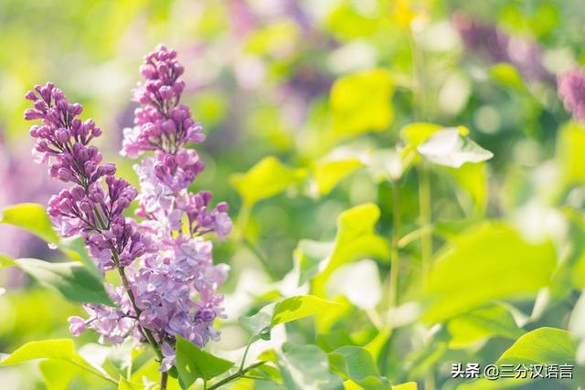 二年级语文上册第二单元知识要点（人教部编本）