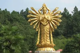 防8级地震，抗12级台风，湖南千手观音“好稳”图片