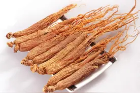 红参属于补虚药，火大劲足，会用善用才有益图片