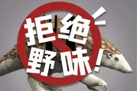 史上最严“禁野令”下 攸县36家特种养殖场何去何从？图片