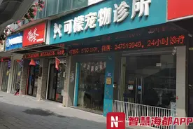 太恶劣！福州这家宠物医院，兽医打顾客还赶记者！图片
