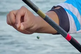 原来钓鱼铅坠移动位置效果这么明显？这是钓鱼人的必备技能图片