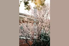 聊城这些地方，即将惊艳全国！再不去可就来不及了！图片
