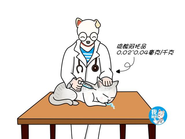 辟谣：猫咪不会流口水？有一种流口水叫多涎症，甚至会危及生命