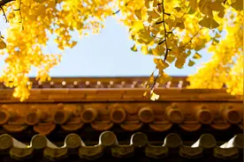 道德经名句起名：10个浓淡适中的女孩名字，简直是人见人爱图片