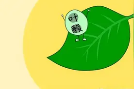 女性每天服用一片叶酸，坚持一段时间，身体会收获哪些好处呢？图片