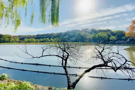 我妈和我妹反目成仇，我终于了解为什么都说婆媳关系难相处了图片