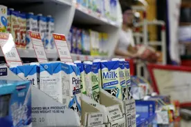 冲奶粉还是喝牛奶，它们的营养价值有差别吗？图片