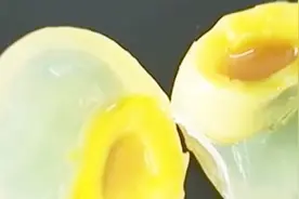 松花蛋和变蛋有什么不一样？视频封面