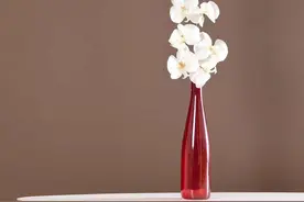 强制戒毒需要多久？可以减少期限吗？图片