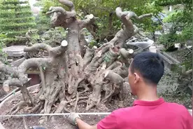 万物皆可测量！小米有品推出测量笔，0.2秒测出波音737长度图片