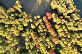 上海出发，三天两晚浙江最美盘山公路四明山自驾游图片