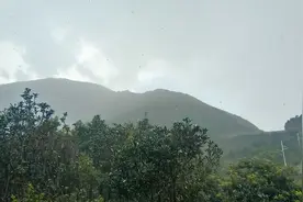 健康护肤，遮瑕产品的用法……认识图片