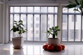 远道而来的亲戚，最好不要住在自己家图片