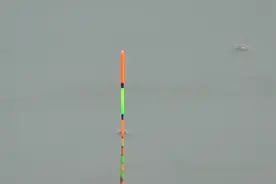 为什么浮漂总是微微上顶再下顿，而不是直接顿？原因根本不在调钓图片