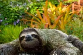 小伙被所谓的“水鬼”拉下水，一番折腾，才得知这个家伙的真面目图片