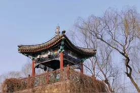 降维打击与升维思考图片