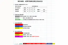 全自动Excel合并财务报表模板，附试算平衡表及附注，直接套用图片