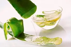 芦荟敷脸痒是怎么回事 芦荟过敏怎么办图片