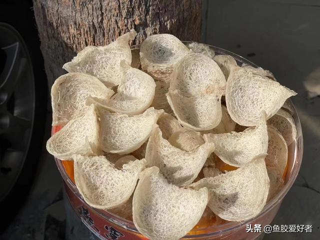 洞燕窝图片大全 2026年洞燕燕窝的功效与作用 洞燕窝图片大全 2026年洞燕燕窝的功效与作用