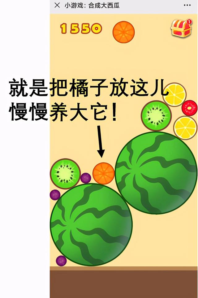 如何随手合成大西瓜，把把1000分？手残必看的高分攻略来了