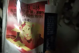 安全用药杀灭顽固小黑飞的办法图片
