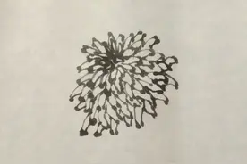 国画水墨菊花画法步骤图片