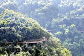 安徽环境最好的城市芜湖，这五大美景，值得一看视频封面