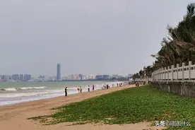 海边沙滩野草疯长，网红小姐姐不惧寒风大浪，疫情消退人们出游忙图片