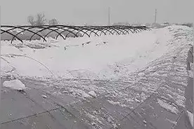 罕见大暴雪，大棚被压塌。农民该怎么办？图片