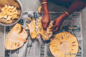 菠萝蜜：我们眼中的水果皇后，却是解决斯里兰卡饥荒的治愈食材图片