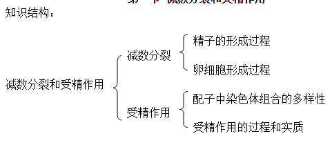 高中生物知识点总结