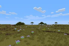 我的世界：生物群系很丰富，一共几十种，你可能只见了几种而已图片