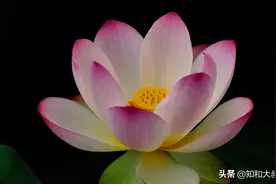 人生最好的生活状态：心中有爱，身体无恙、内外无愁图片